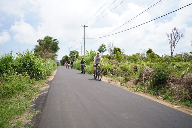 Explore Ubud with Electric Bike - Why the $34 Price Can Be Good Value