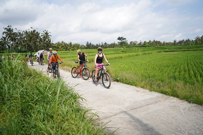 Explore Ubud with Electric Bike - Weather, Clothing, and Practical Comfort
