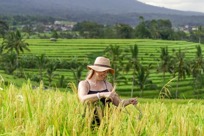 Exquisite UNESCO World Heritage Sites in Bali - Jatiluwih Green Land and Bali’s rice terraces