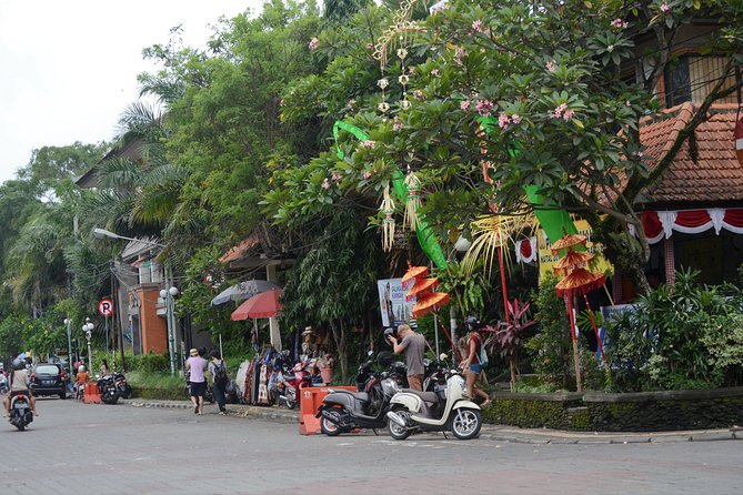 Famous Ubud villlage and Dance Tour with Rice Terrace And Waterfall Visit - Painting in Ubud and wood carving in Mas
