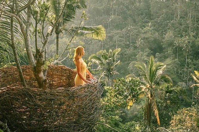Fantastic Ubud Tour with Jungle Swing - Ubud Jungle Swing: The Big Photo Moment