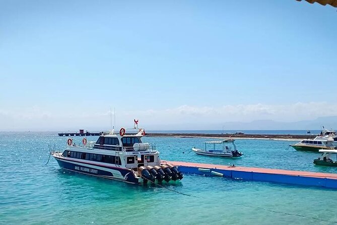 Fast Boat Transfer: Sanur to Nusa Penida by Penidago - Luggage, seating, and the Nusa Penida arrival
