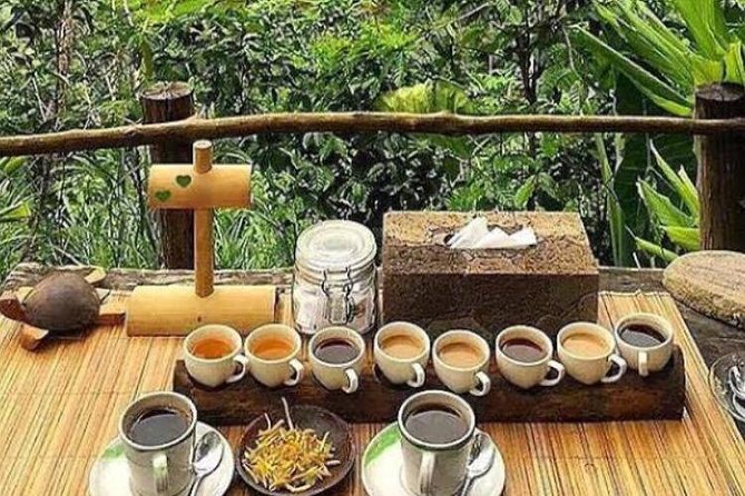Favorite Sites of Ubud Daytrip - Your driver and private vehicle matter more than the price