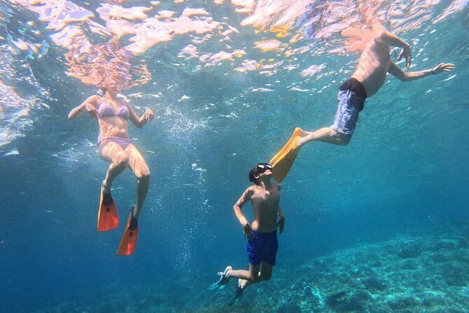From Bali: Nusa Penida Full Day Tour and Snorkeling - Key points to know before booking