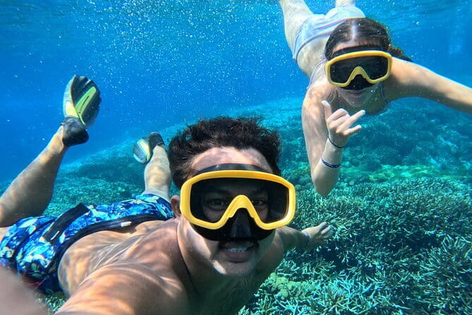 From Bali: Nusa Penida Full Day Tour and Snorkeling - What the $91 price really covers