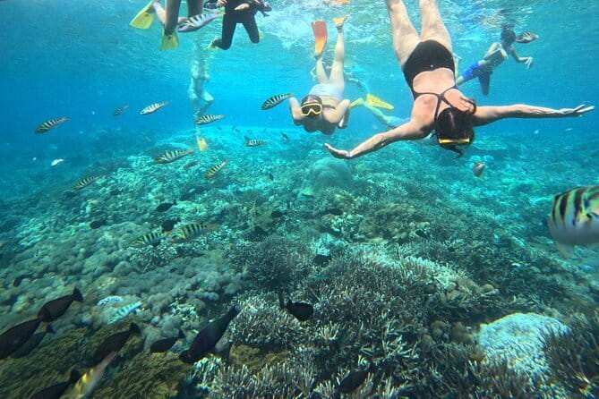 From Bali: Nusa Penida Full Day Tour and Snorkeling - Manta Bay: the most exciting water stop