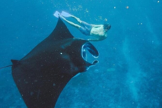 From Bali: Nusa Penida Snorkeling and Island Tour - Key points to know before booking