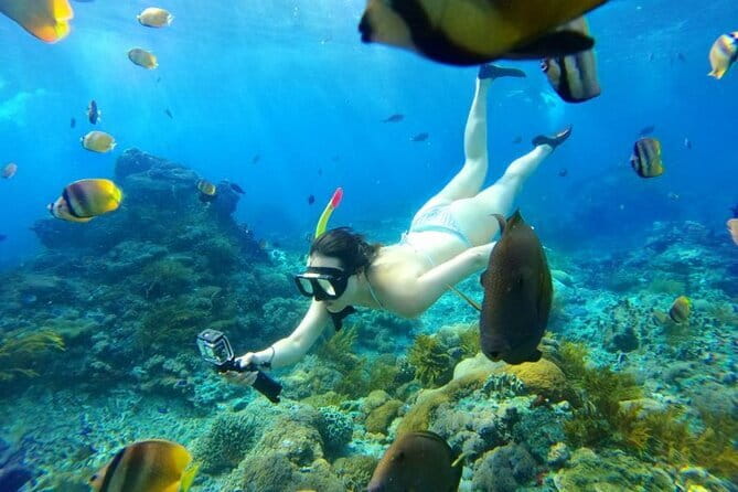 From Bali: Nusa Penida Snorkeling and Island Tour - Why this day trip appeals to me