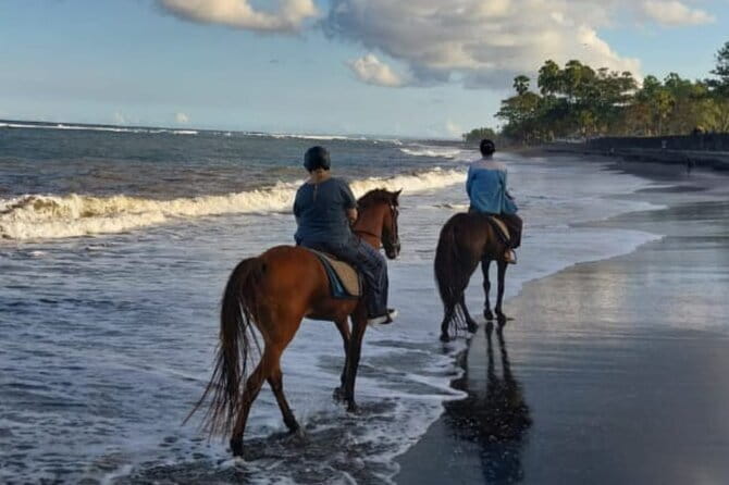 From Ubud 1 Hour Horse Riding at The Beach Experiences - Is $54.76 a fair price?