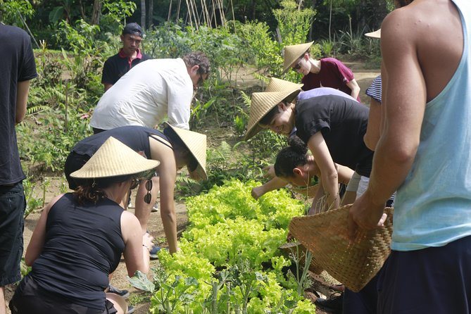 From Ubud: Authentic Bali Farm Cooking School & Organic Farm - Six dishes, plenty of chopping, and clear instruction