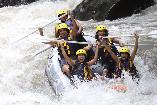Full-Day Ayung River White Water Rafting and Ubud Tour - Why this makes a strong Bali day trip