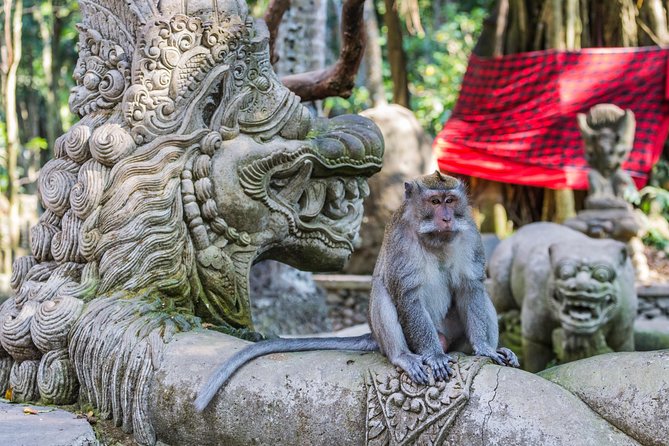 Full-Day Ayung River White Water Rafting and Ubud Tour - Rafting the Ayung River for up to three hours