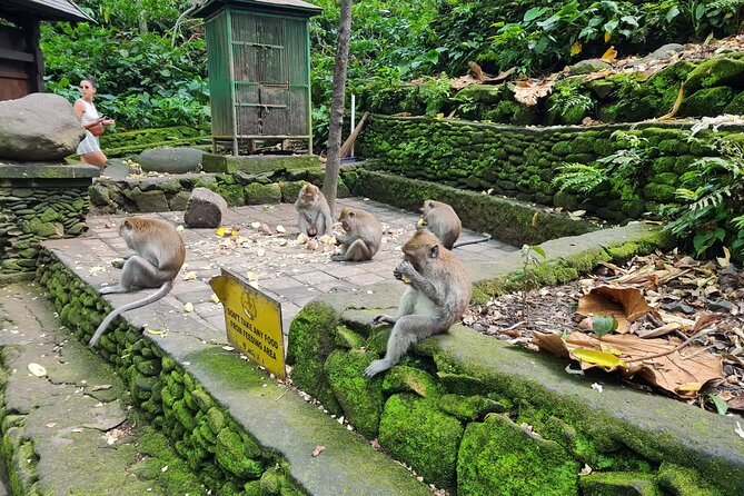 Full Day Best of Ubud Private Tour - What this Ubud day is really designed to do