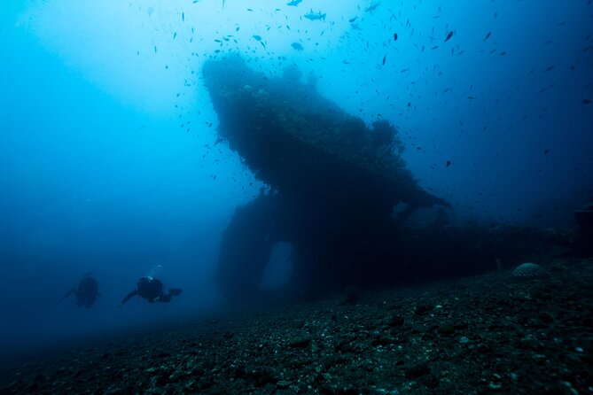 Full-Day Discover Scuba Diving Tour for Beginners in Tulamben - Coral Garden: Your First Look Below the Surface