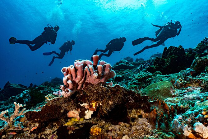 Full-Day Discover Scuba Diving Tour for Beginners in Tulamben - The USS Liberty Wreck Near Tulamben Beach
