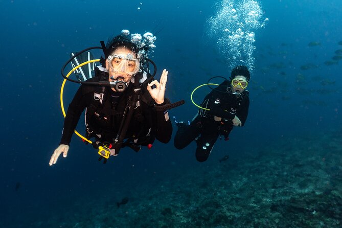 Full-Day Discover Scuba Diving Tour for Beginners in Tulamben - The Early Pickup and Long Road to Tulamben