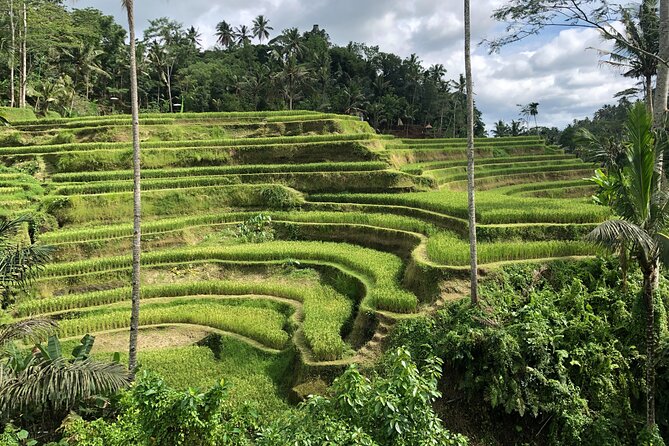 Full-Day Highlights and Best of Ubud Village - Tegenungan Waterfall starts the day with a splash