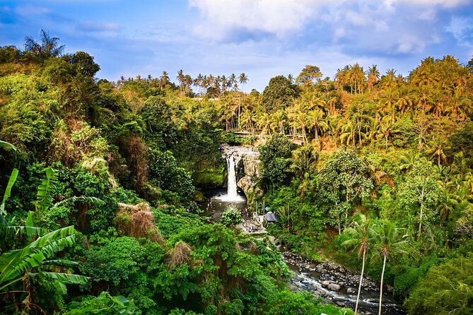 Full-Day Highlights and Best of Ubud Village - Tirta Empul brings ceremony and meaning