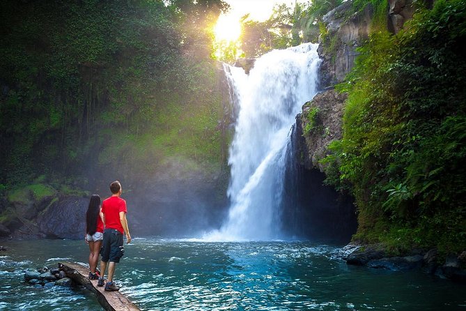 Full-Day in Bali: Amazing Ubud Tour - Who will enjoy this Ubud itinerary most?