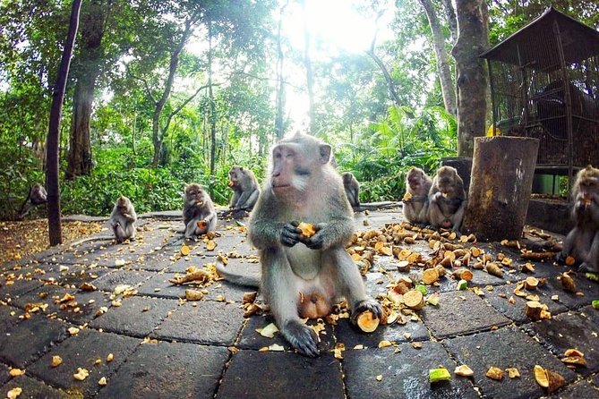 Full-Day in Bali: Private Design-Your-Own Tour - Kintamani and the northern route