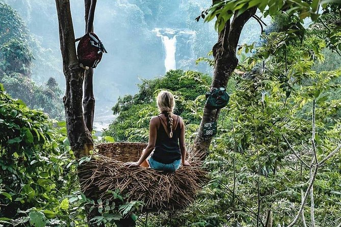 Full-Day in Bali: Private Design-Your-Own Tour - The driver makes or breaks the day