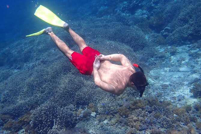 Full-Day Island-Hopping Tour from Bali - Buffet lunch on Lembongan