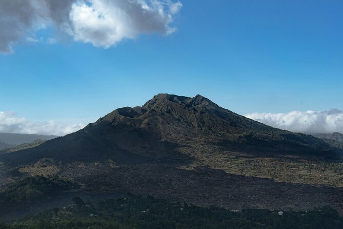 Full Day Kintamani Volcano View and Ancient Penglipuran Village - Penglipuran’s carefully arranged traditional homes