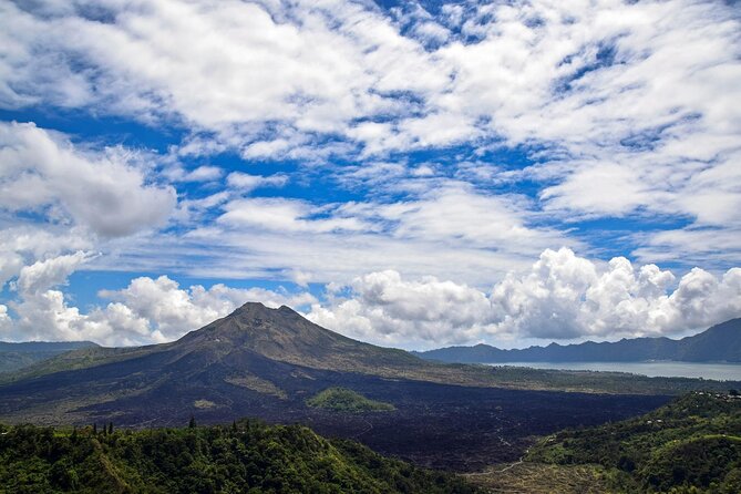 Full Day Kintamani Volcano View and Ubud Village Tour - Key details before you book