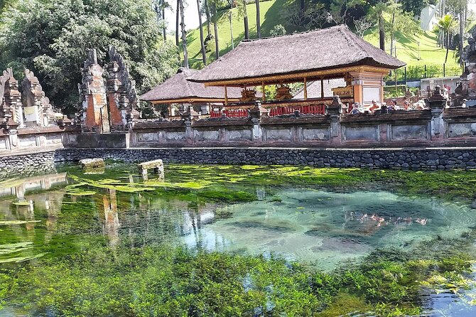 Full Day Kintamani Volcano View and Ubud Village Tour - The driver can make or break the day