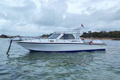 Full-Day Nusa Penida Island with Snorkeling from Bali