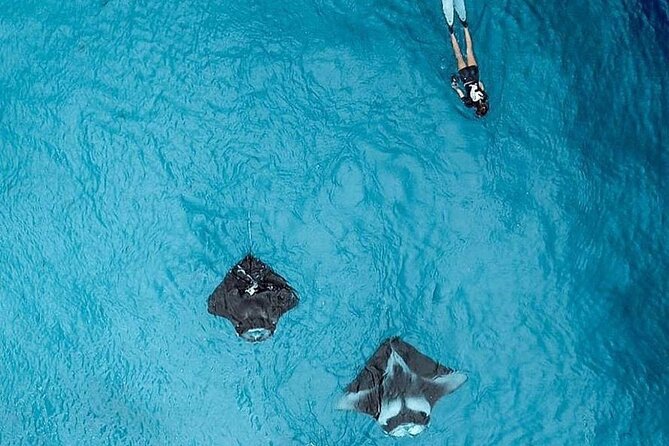 Full Day Nusa Penida Manta Point Snorkeling and West Island Tour - Gamat Bay gives you a second hour underwater