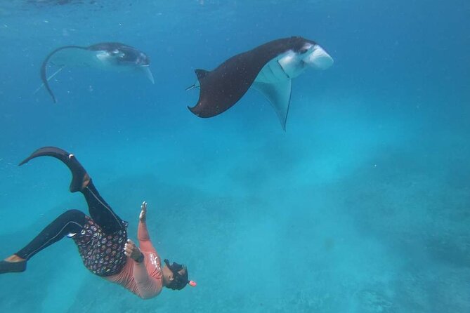 Full Day Nusa Penida Manta Point Snorkeling and West Island Tour - A private tour with a shared water component