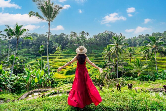 Full-Day Private Car Charter in Bali with Local Guide - Tegalalang Rice Terrace: an easy first stop