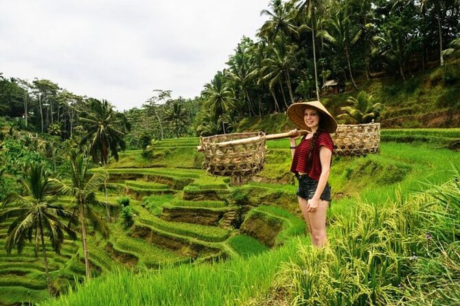 Full Day Private Guided Tour in Bali - What the $37 price really buys you