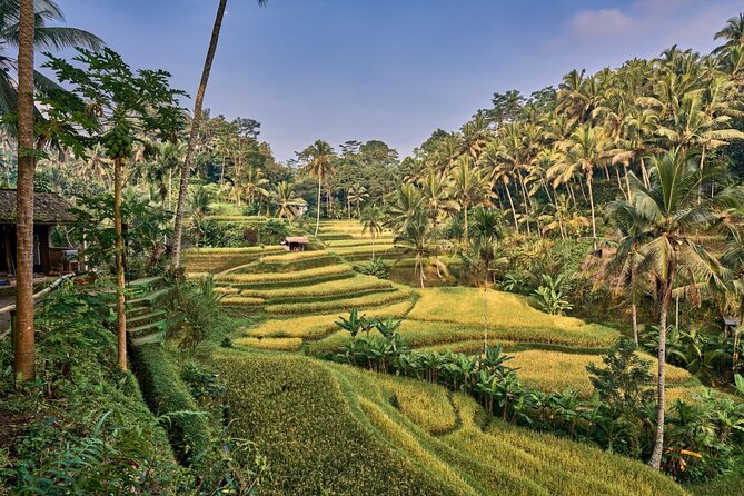 Full Day Private Guided Tour to Bali - Tegenungan Waterfall: a photogenic first stop