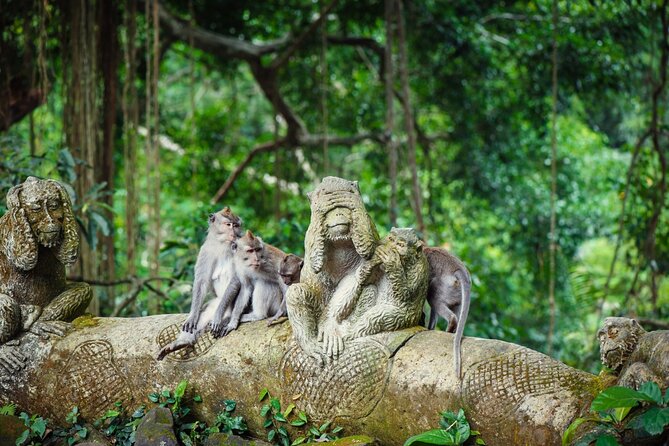 Full Day Private Guided Tour to Bali - Tirta Empul Temple and the meaning of holy water