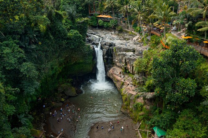 Full Day Private Guided Tour to Bali - Tegalalang Rice Terrace in 45 minutes