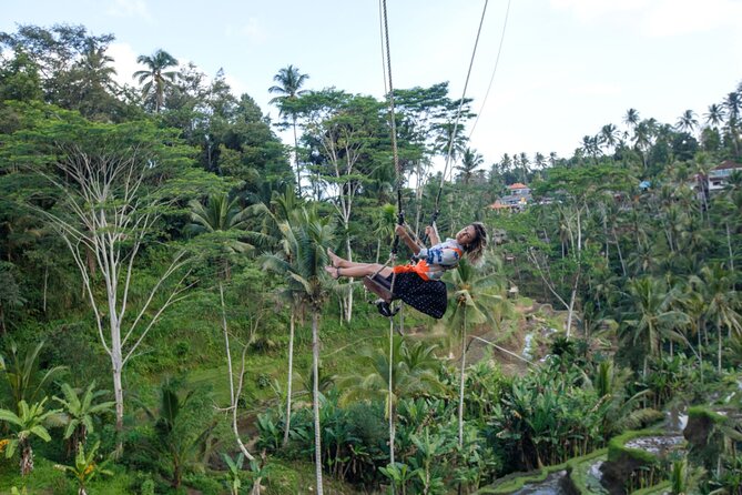 Full Day Private Guided Tour to Bali - Sacred Monkey Forest Sanctuary in Ubud