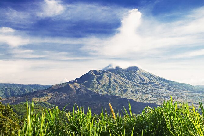 Full Day Private Guided Tour to Bali - Optional Ubud stops: choose carefully