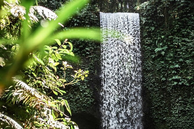 Full Day Private Tour All Inclusive Hidden Gems Bali Waterfall - Tibumana, the quieter change of pace