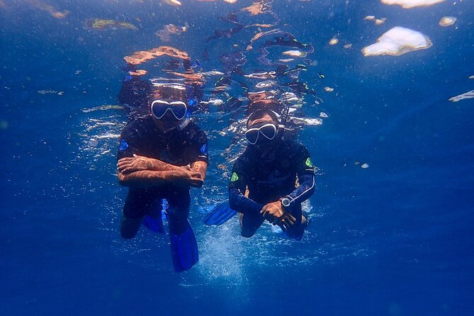 Full-Day Scuba Diving Experience of USAT Liberty in Tulamben - Coral Garden offers a different underwater setting