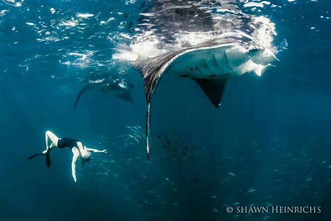 Full-Day Tour in Nusa Penida Island + Snorkeling Experience - Gamat Bay feels rougher and less polished