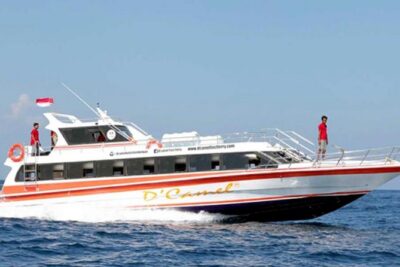 Full-Day Tour To Nusa Penida Bali