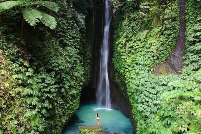 Full-Day Tour to Water Temples and UNESCO Rice Terraces in Bali