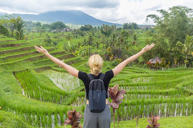 Full-Day Tour to Water Temples and UNESCO Rice Terraces in Bali - Who Will Get the Most From This Tour?