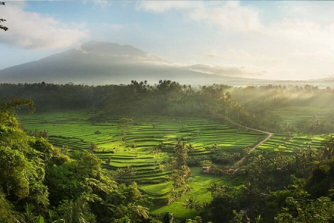 Full Day Tour to Water Temples UNESCO Rice Terraces in Bali - Luhur Batukaru Temple at the mountain foot