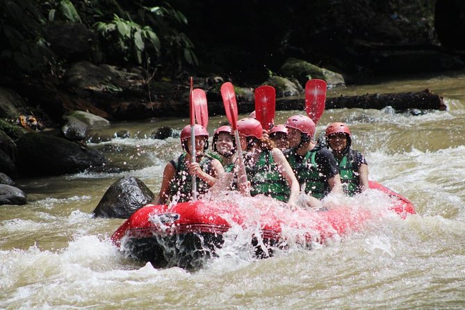 Full-Day Tour: White Water Rafting and Highlight of Ubud with All-inclusive - An 8:30 a.m. start with broad hotel pickup