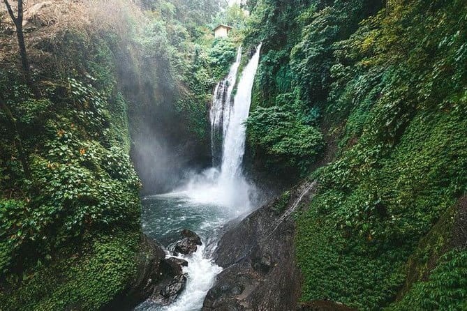 Full day Ubud and Tanah Lot tour - The private car and driver-guide advantage