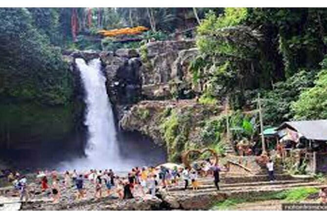 Full day Ubud and Tanah Lot tour - Two hours among Ubud’s monkeys and temples