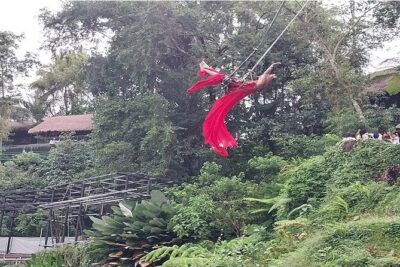 Full Day Ubud Tour